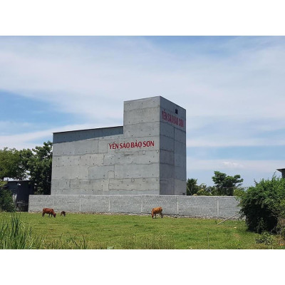 YẾN THÔ NGUYÊN TỔ - HỘP 50GR - BẢO SƠN TRUE NEST