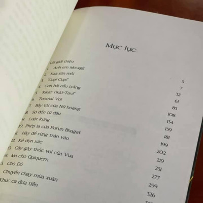 CHUYỆN RỪNG XANH (Bìa mềm)