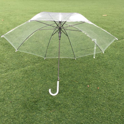 Ô Che Mưa Trong Suốt Độc Đáo