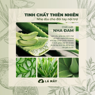 NƯỚC RỬA CHÉN BÁT (KHÔNG ĐẬM ĐẶC) TÍA TÔ & TÁO XANH LÁ MÂY 500 mL
