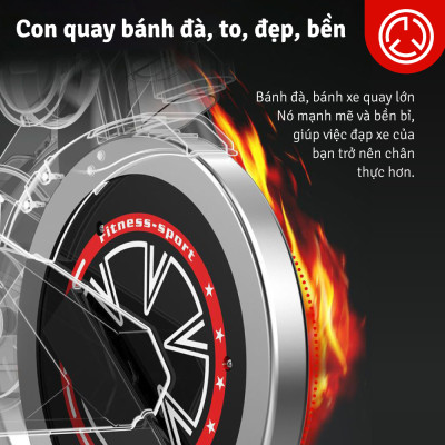 BG-MÀN HÌNH-Xe đạp tập thể thao đa năng trong nhà SPINING BIKE ELITE 03 mới (hàng nhập khẩu)