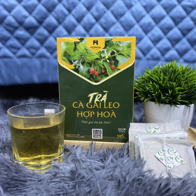 Trà Cà Gai Leo Hợp Hòa - Cà gai leo + Xạ đen + Cỏ Ngọt - 50 túi lọc - OCOP 4 Sao - Giải độc mát gan, ngăn ngừa ung thư
