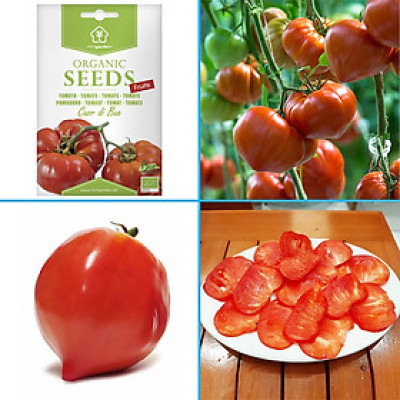 Hạt Giống Cà Chua Không Hạt Hữu Cơ Nhập Khẩu Minigarden (Túi từ 125 Hạt đến 250 hạt) Với Tỷ lệ nảy mầm cao, ít hạt lép
