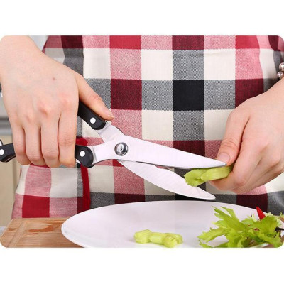 Kéo Cắt Gà Bằng Thép Sắc Bén Có Móc Gài Khóa Dài 25cm