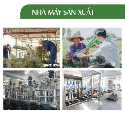 Nước Lau sàn hữu cơ trẻ em 24Care - Hương thảo mộc thiên nhiên Sả chanh/ Bạc hà/ Cam ngọt - Đuổi muỗi và côn trùng - Thơm nhẹ diệt khuẩn loại bỏ vết bẩn cứng đầu