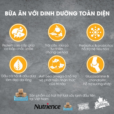 Thức Ăn Hạt Cho Mèo Nutrience Subzero bao 500g - Thịt Gà, Cá Trích, Cá Tuyết, Cá Đại Dương, Rau Củ Và Trái Cây Tự Nhiên