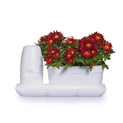 Chậu Trồng Cây Thông Minh Tự Động Tưới Basic Uno, làm bằng chất liệu nhựa PP Chống UV giúp cây phát triển tốt ngay cả trong môi trường nắng nóng, nhập khẩu Châu Âu