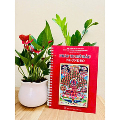 Sách - Pháp Tu Mở Đầu Ngondro ( Bìa mềm)