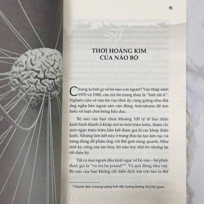 Bộ Não Siêu Phàm