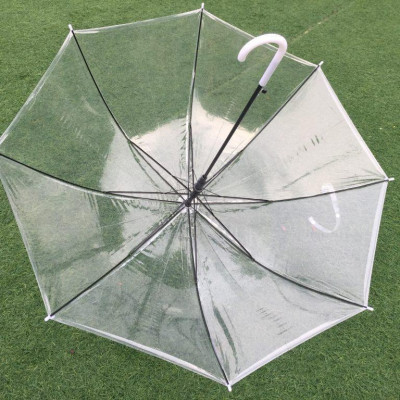 Ô Che Mưa Trong Suốt Độc Đáo