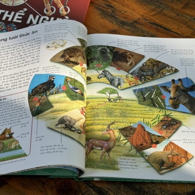 (Bìa cứng) COMBO 5 CUỐN HÀNH TRÌNH KHÁM PHÁ: MÔI TRƯỜNG, ĐỘNG VẬT, THỰC VẬT, CÔN TRÙNG, CƠ THỂ CON NGƯỜI_Tân Việt - NXB Mỹ Thuật