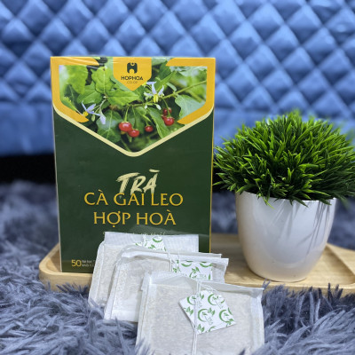 Trà Cà Gai Leo Hợp Hòa - Cà gai leo + Xạ đen + Cỏ Ngọt - 50 túi lọc - OCOP 4 Sao - Giải độc mát gan, ngăn ngừa ung thư
