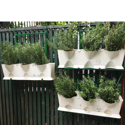 Chậu Trồng Rau Đứng Nhập Khẩu (Combo 4 bộ) kèm bộ tự Tưới nhỏ giọt và tự bón phân cho rau tự động