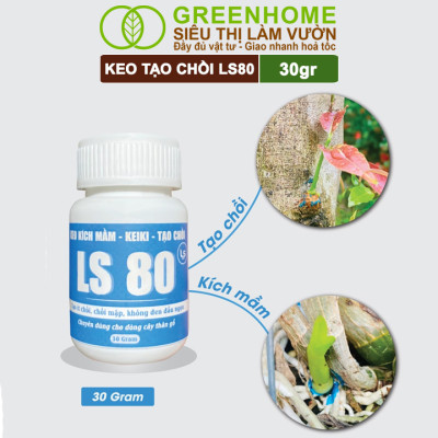 Keo Tạo Chồi LS80, Greenhome, Hũ 30gr, Tạo Mầm Tại Vị Trí Bất Kỳ, Có Chọn Lọc, Không Suy Cây, Đen Chồi
