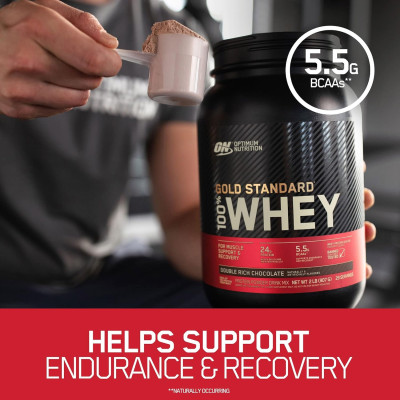 Protein tăng cơ Optimum Nutrition Gold Standard 100% Whey 1lb (450g) 14 servings