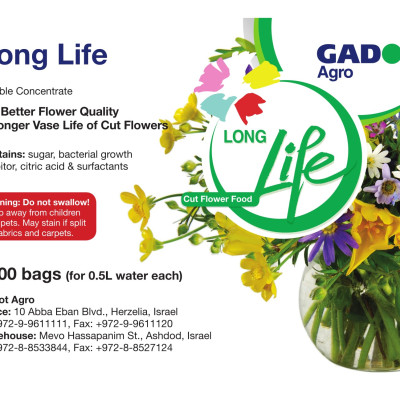 Combo 50 gói Nước cắm hoa lâu tàn dạng bột 5gr của Israel giúp hoa Hoàng Anh và hoa khác tươi lâu và hạn thay nước cho hoa