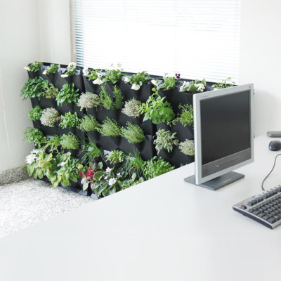 Tự Trồng Rau Đứng Minigarden tại nhà kèm Hệ Thống Tưới Nhỏ Giọt Bán Tự Động 2L/h + Bình Châm Phân Bón cho rau chứa 8 lít và  khung Module Vertical nhập khẩu Châu Âu (Không Cần Thay Đất cho Rau)