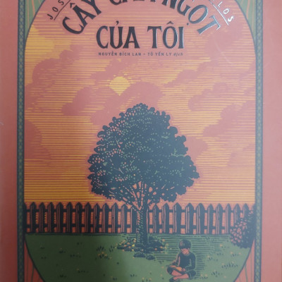 Combo 3 sách thiếu nhi: Cây cam ngọt của tôi + Lũ trẻ làng Ồn Ào + Làng Ồn Ào vui ơi là vui 