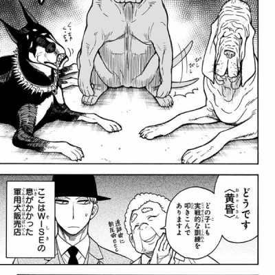 SPY x FAMILY 4 (ジャンプコミックス)