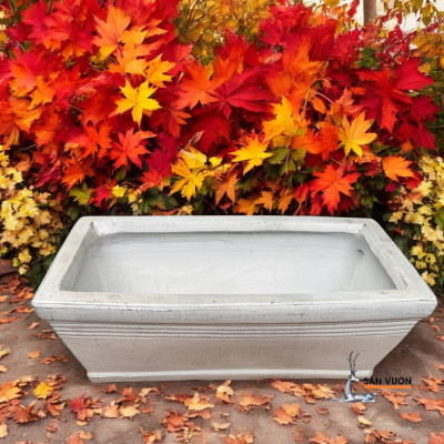 Chậu Gốm Chữ Nhật Trồng Cây Sân Thượng - Chậu Trồng Cây Trong Nhà 50x25x20cm