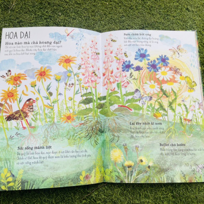 A LÊ HẤP! - THẾ GIỚI HOA - ĐÔNG A - BẢN CỨNG IN MÀU TOÀN BỘ -