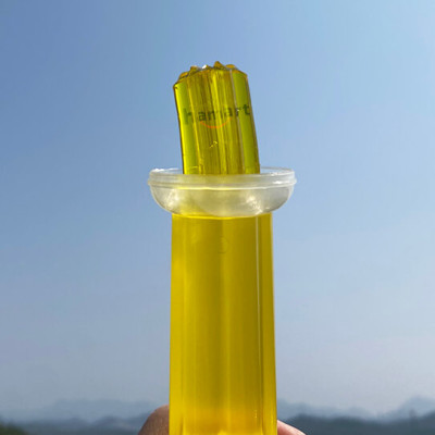 Gel Thơm Bồn Cầu Hoa Khử Mùi Toilet Nhà Vệ Sinh 6 Mùi Hương Thiên Nhiên Ống Bơm 12 Bông