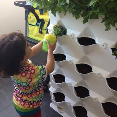 Tự Trồng Rau Đứng Minigarden tại nhà kèm Hệ Thống Tưới Nhỏ Giọt Bán Tự Động 2L/h + Bình Châm Phân Bón cho rau chứa 8 lít và  khung Module Vertical nhập khẩu Châu Âu (Không Cần Thay Đất cho Rau)