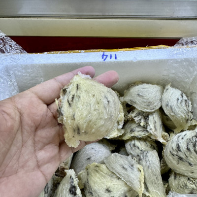 Yến Khánh Hòa - Yến Thô Đảo [Hộp 100g] - Đệ Nhất Yến Đảo - Tăng cường sức đề kháng - Bổ phổi - Hỗ trợ điều trị ung thư - Điều hòa huyết áp - Cải thiện giấc ngủ - Bổ khí dưỡng nhan - Tăng cường sinh lực nam nữ