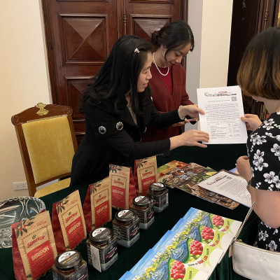 Combo 2 Mật Ong Hoa Cà Phê Jade Mountain Kết Tinh Tự Nhiên Chất Lượng Tốt 380ml