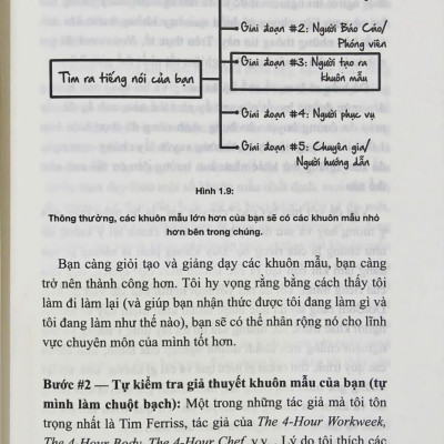 Bí Mật Chuyên Gia ( bìa cứng )
