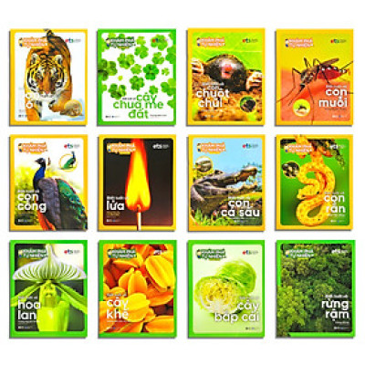 Bộ Sách - Khám Phá Tự Nhiên Quanh Em - Bộ 12 Cuốn