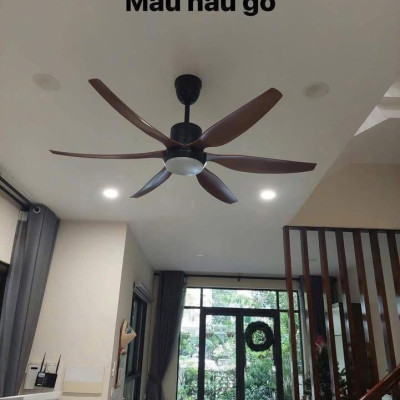 Quạt trần đèn CeilingFanking QT-001 hàng chính hãng