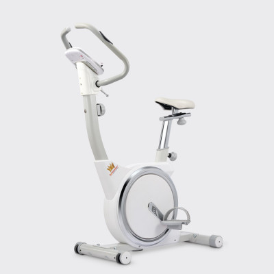 CHỈ GIAO MIỀN NAM | Xe đạp tập KINGSPORT KS-102 thiết kế hiện đại, kháng lực đa cấp độ, tích hợp đồng hồ đo lường chỉ số