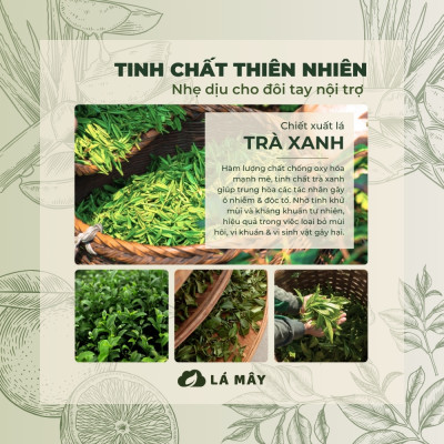 NƯỚC LAU BẾP TÍA TÔ & TRÀ XANH LÁ MÂY 500mL