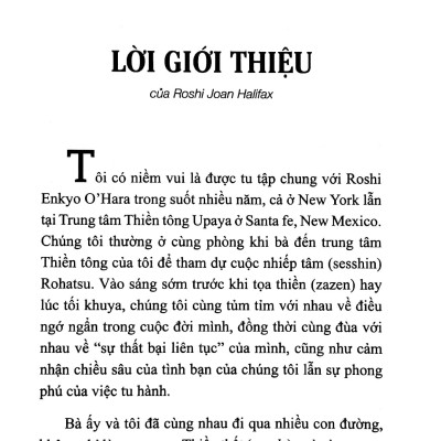 Bát Nhã Chi Tâm - Ứng Dụng Thiền Vào Những Khó Khăn, Đau Khổ Trong Cuộc Sống