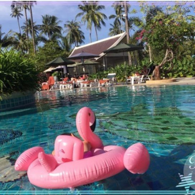 Phao Bơi Cho Bé Hình Thiên Nga