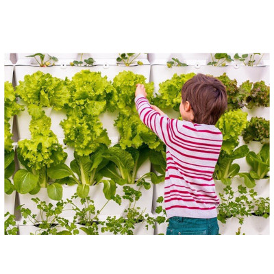 Chậu Trồng Rau Đứng Nhập Khẩu (Combo 4 bộ) kèm bộ tự Tưới nhỏ giọt và tự bón phân cho rau tự động