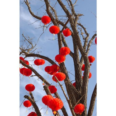 Đèn lồng đỏ trang trí tết 25cm, lồng đèn trang trí