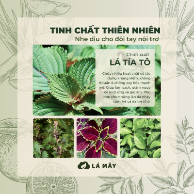 NƯỚC RỬA CHÉN BÁT (KHÔNG ĐẬM ĐẶC) TÍA TÔ & TÁO XANH LÁ MÂY 500 mL