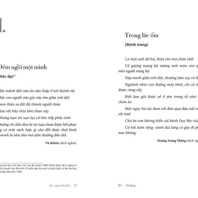 Kẻ Cướp Bến Bỏi