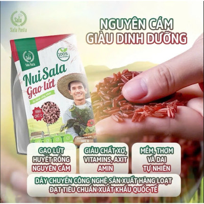 Nui Gạo Lức Hữu Cơ Hình Chữ C Thực Dưỡng Loại Ngon Ăn Kiêng Giảm Cân