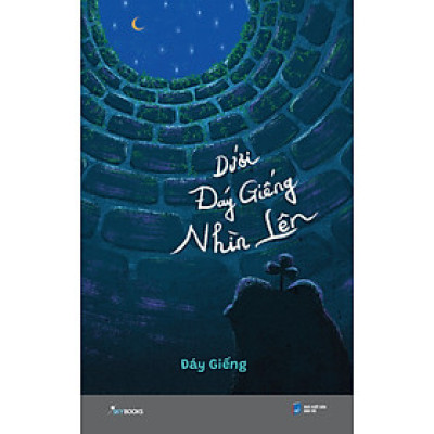 Combo 2 Cuốn Sách Văn Học Lãng Mạn Hay- Dưới Đáy Giếng Nhìn Lên+ Yêu Những Điều Không Hoàn Hảo