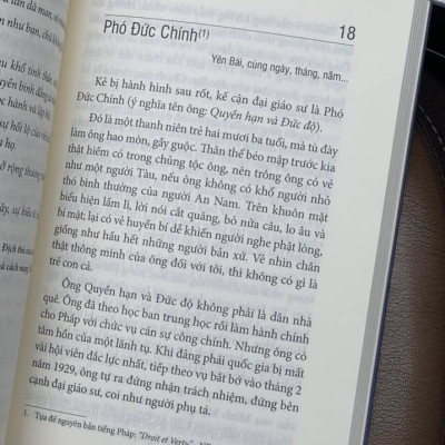 VIỆT NAM BI THẢM ĐÔNG DƯƠNG - BÌA MỀM