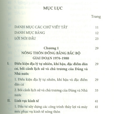 Nông Thôn Đồng Bằng Bắc Bộ (1976-1996) (Sách chuyên khảo) -  PGS. TS. Nguyễn Ngọc Mão chủ biên