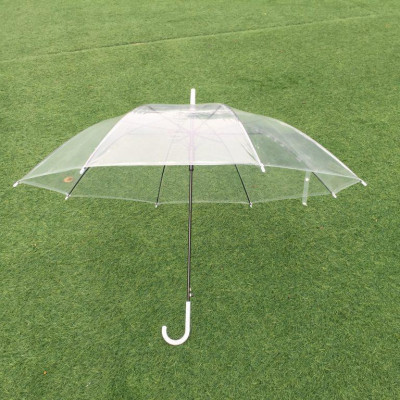 Ô Che Mưa Trong Suốt Độc Đáo