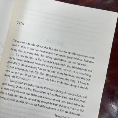 VIỆT NAM VÀ HÌNH MẪU TRUNG HOA - Nghiên cứu so sánh về chính quyền dân sự nhà Nguyên và nhà Thanh nửa đầu thế kỷ XIX – Alexander Barton Woodside – Nhã Nam – NXB Thế Giới (Bìa mềm) 