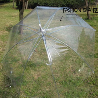 Ô Che Mưa Trong Suốt Độc Đáo