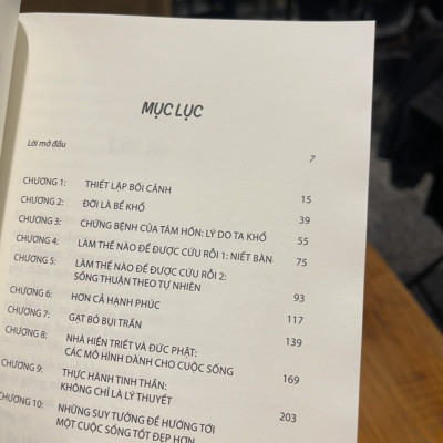 HƠN CẢ HẠNH PHÚC - Minh triết Phật giáo và chủ nghĩa Khắc kỷ trong một kỷ nguyên đầy hoài nghi - Antonia Macaro – Thái Hà –NXB Thế Giới