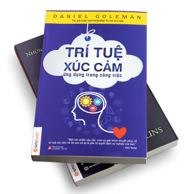 Trí Tuệ Xúc Cảm Ứng Dụng Trong Công Việc  ( Tái Bản )