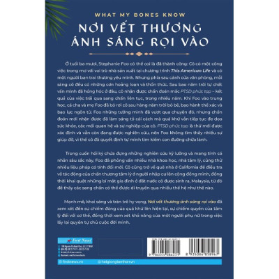 Nơi Vết Thương Ánh Sáng Rọi Vào